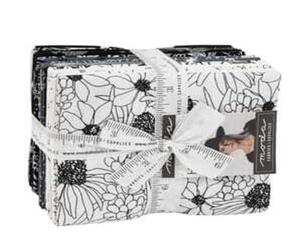 Moda | Hey Ya'll Monochrome | Fat Eighth Bundle